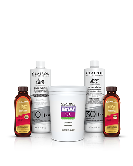 Clariol Professional CHOCOLATE SILK Technique